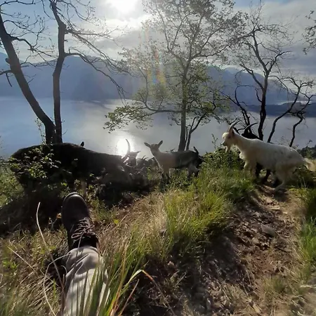 - Dreamy Retreat, Footpath Only Dom wakacyjny Cadenabbia