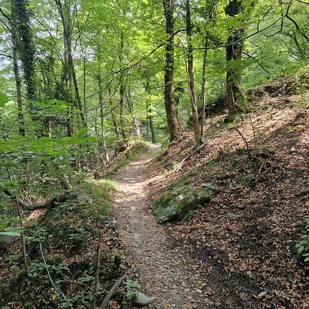 - Nature Retreat, Foot Access Only Kwatera prywatna *