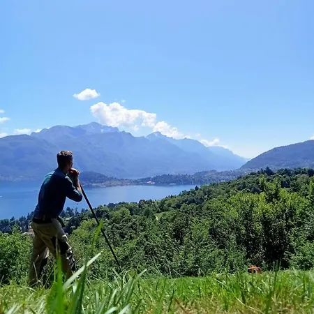 Chalet Como Lake - Nature Retreat with Bellagio view Affittacamere Cadenabbia