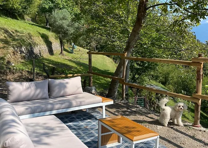 - Nature Retreat With Bellagio View